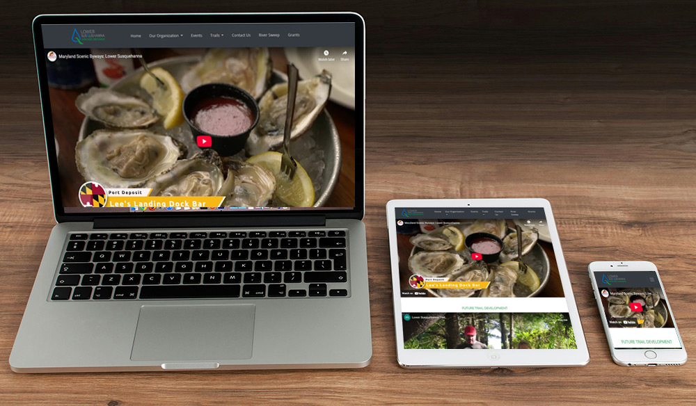 Web Design